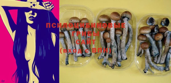PSILOCYBIN Алексин