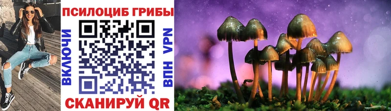 Галлюциногенные грибы мухоморы  как найти   Змеиногорск 
